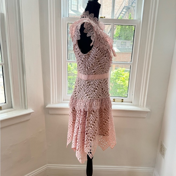 SELF-PORTRAIT Guipure Lace Mini Pink Dress - Picture 2 of 5